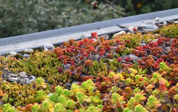 the cost of Langbaurgh green roof installation