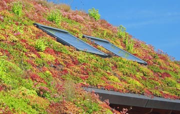Langbaurgh living roof systems