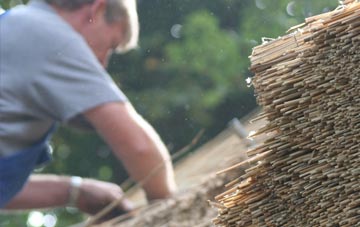 professional Langbaurgh thatchers