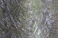 Langbaurgh fibreglass roof work